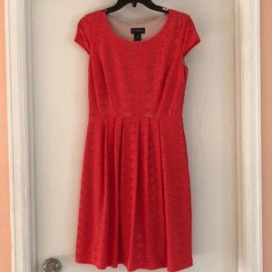 Coral knee length dress